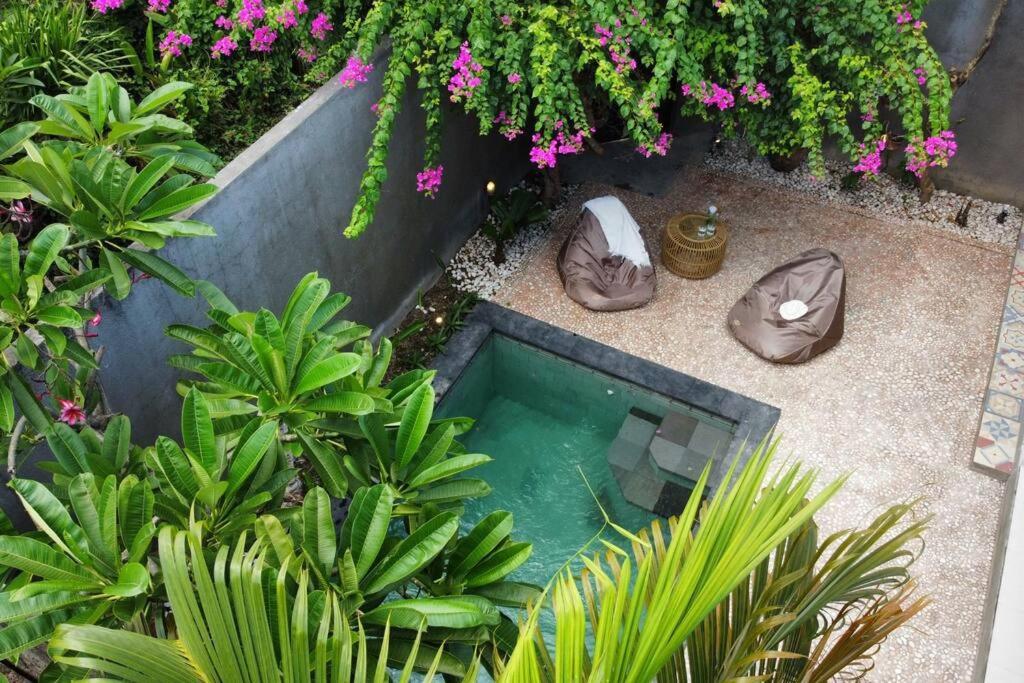 Bali Bliss Private Pulau Sanur (Bali)