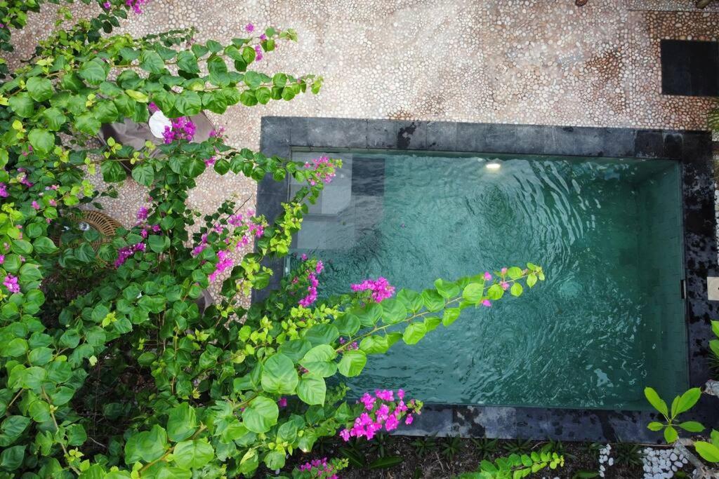 Bali Bliss Private Pulau Sanur (Bali)